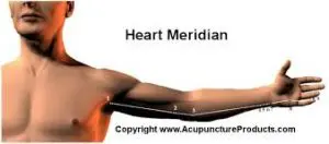poses de méridien cœur