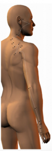 poses de méridien intestin grêle
