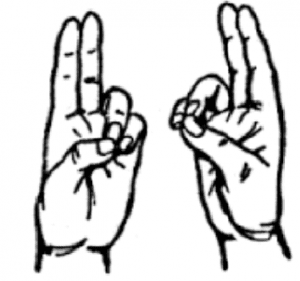 pratiquons les mudras
